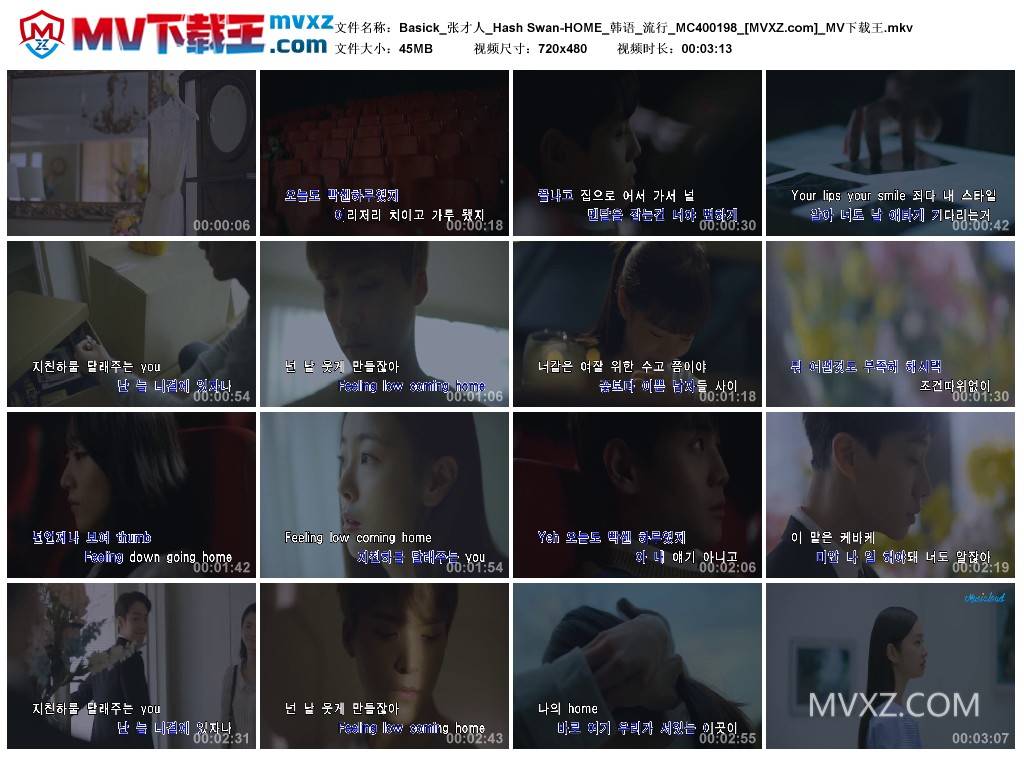 Basick_张才人_Hash Swan-HOME_韩语_流行_MC400198